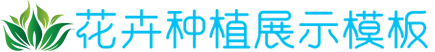 hy5900cc海洋之神,海洋之神590电脑版